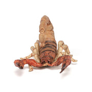 Schorpioen - Speelfiguren Papo - In den Olifant