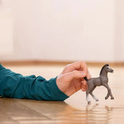 Selle Français - Veulen - Speelfiguren Schleich - In den Olifant