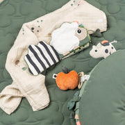 Sensorisch babyboekje - Tiny farm Colour mix - Babyboekjes Done by Deer - In den Olifant