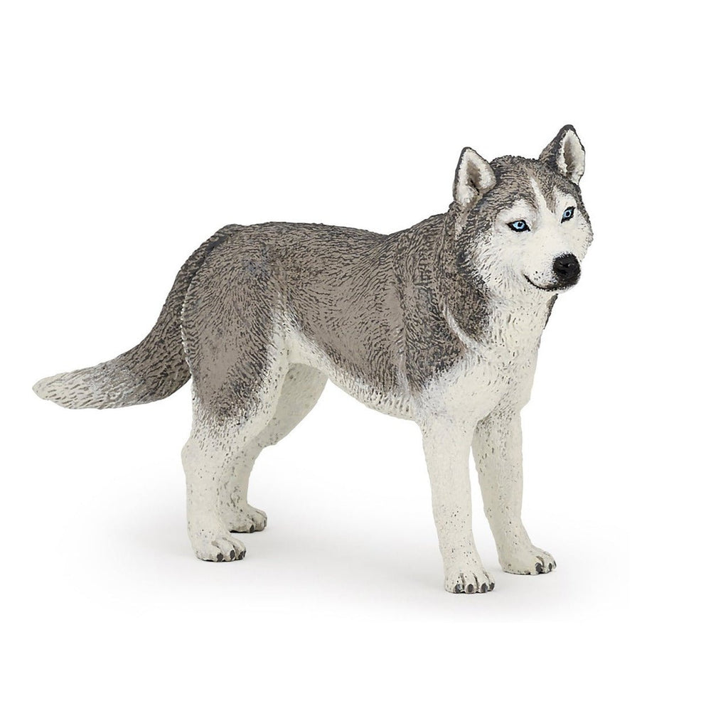 Siberische Husky - Speeldieren Papo - In den Olifant