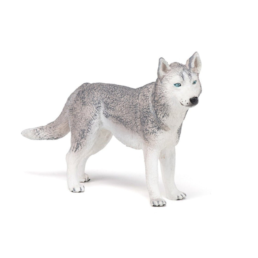 Siberische Husky - Speeldieren Papo - In den Olifant