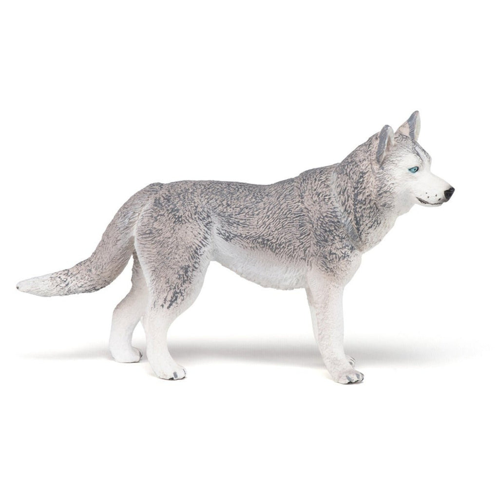 Siberische Husky - Speeldieren Papo - In den Olifant