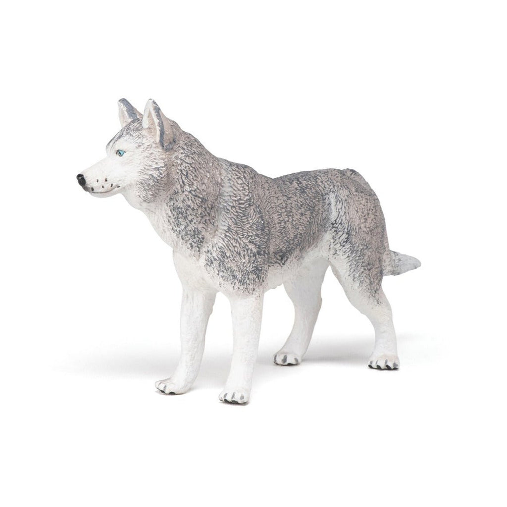 Siberische Husky - Speeldieren Papo - In den Olifant