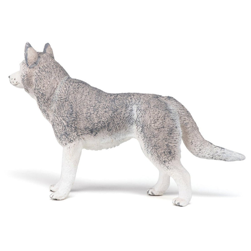 Siberische Husky - Speeldieren Papo - In den Olifant