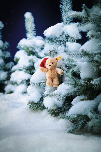 Sleutelhanger Cosy Christmas Pendant Ben Teddy Bear - Sleutelhangers Steiff - In den Olifant