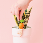 Sonny Angel Hippers Harvest Serie - Speelfiguren Sonny Angel - In den Olifant