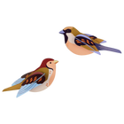 Muurdecoratie Wall Art Garden Birds - Sparrows