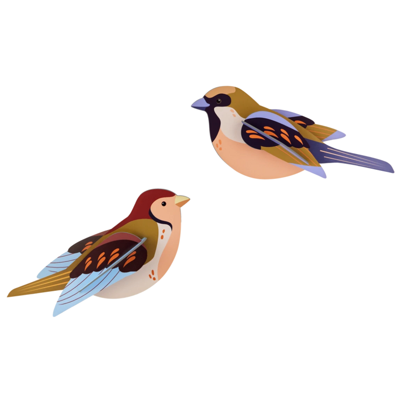 Muurdecoratie Wall Art Garden Birds - Sparrows