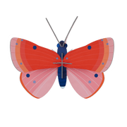 Speckled Copper Butterfly - Muurdecoratie Studio Roof - In den Olifant