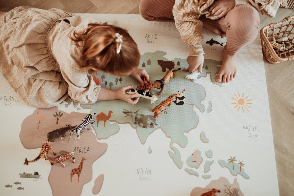 Speelmat EEVAA 3 - in - 1 – Worldmap Colour Design - Speelmatten en - bogen Play&go - In den Olifant