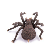 Spin Arachnos - Speeldieren Papo - In den Olifant