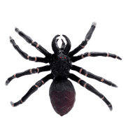 Spin Realistic Tarantula Toy - Speelfiguren REX London - In den Olifant