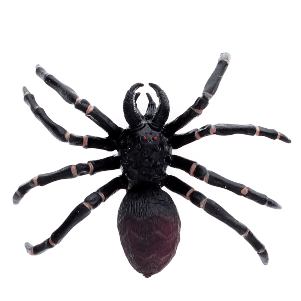 Spin Realistic Tarantula Toy - Speelfiguren REX London - In den Olifant