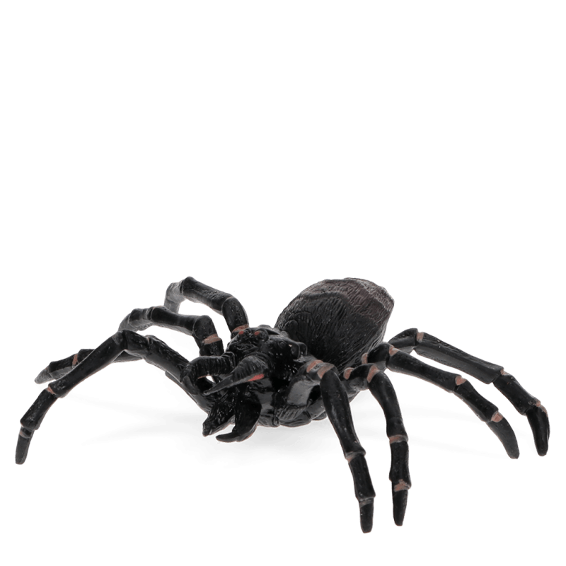 Spin Realistic Tarantula Toy - Speelfiguren REX London - In den Olifant