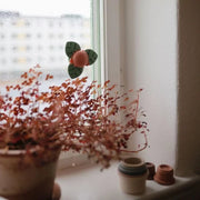 Spinner met zuignap - Suction Spinner Toy Dino - Activiteitenspeelgoed Mushie - In den Olifant