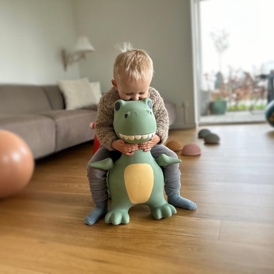 Springdier Dino Dexter - Actief buitenspeelgoed Find that Hippo - In den Olifant