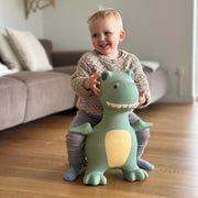 Springdier Dino Dexter - Actief buitenspeelgoed Find that Hippo - In den Olifant