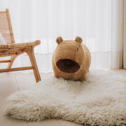 Springdier Soft Bouncy Capibara - Balansspeelgoed Wild & Soft - In den Olifant