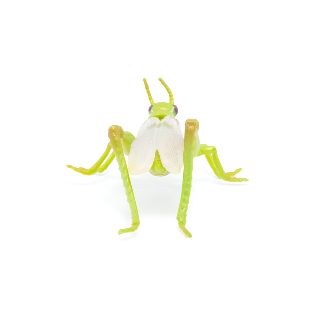 Sprinkhaan - Speeldieren Papo - In den Olifant