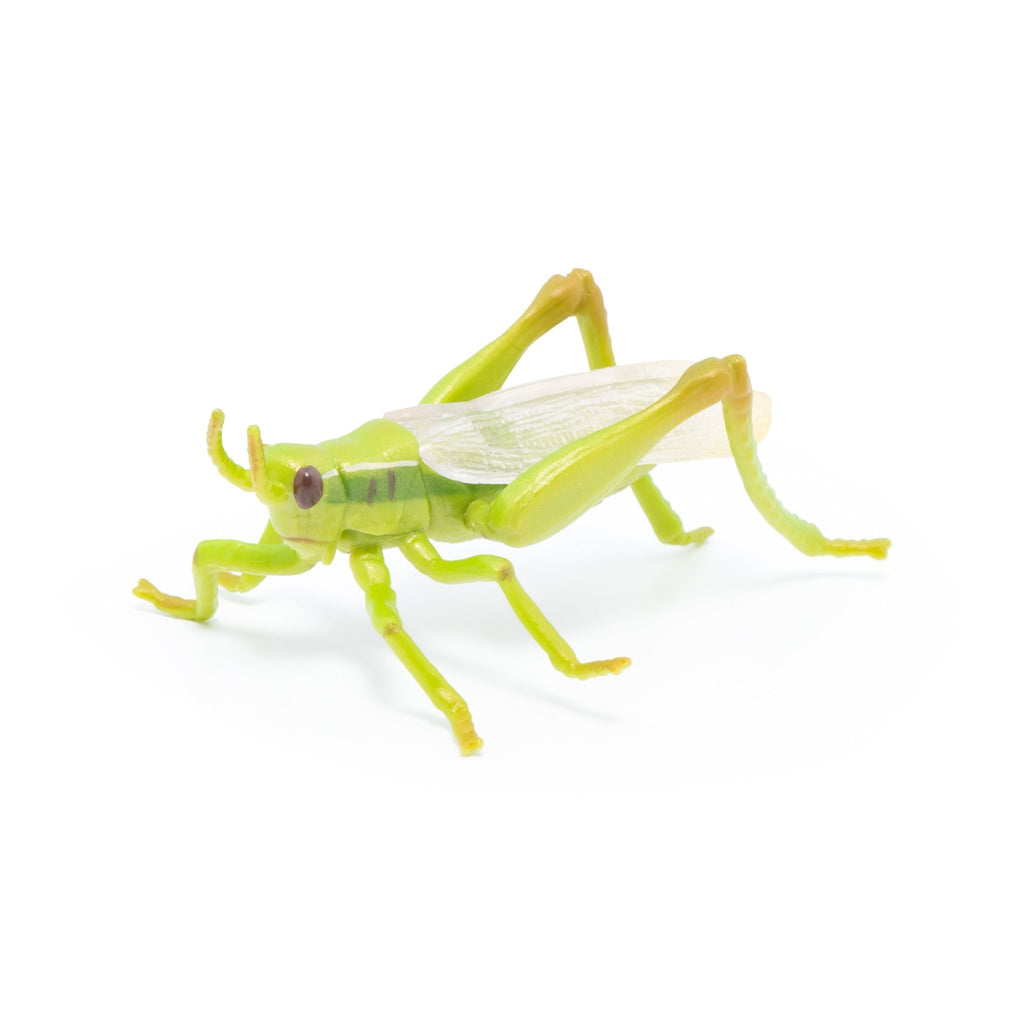 Sprinkhaan - Speeldieren Papo - In den Olifant