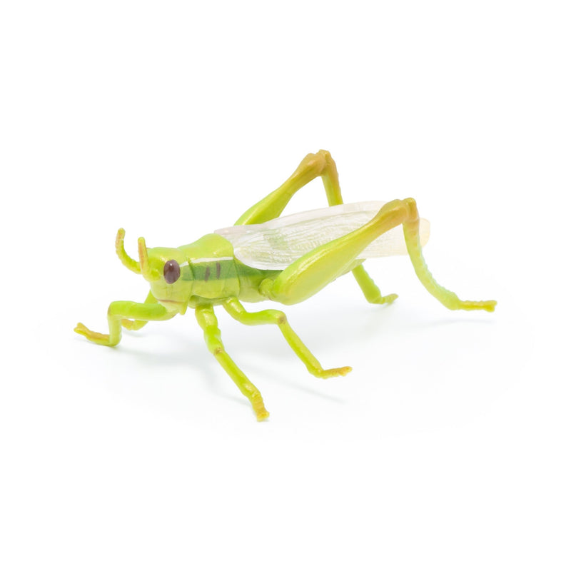 Sprinkhaan - Speeldieren Papo - In den Olifant