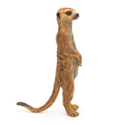 Staande Meerkat - Speelfiguren Papo - In den Olifant