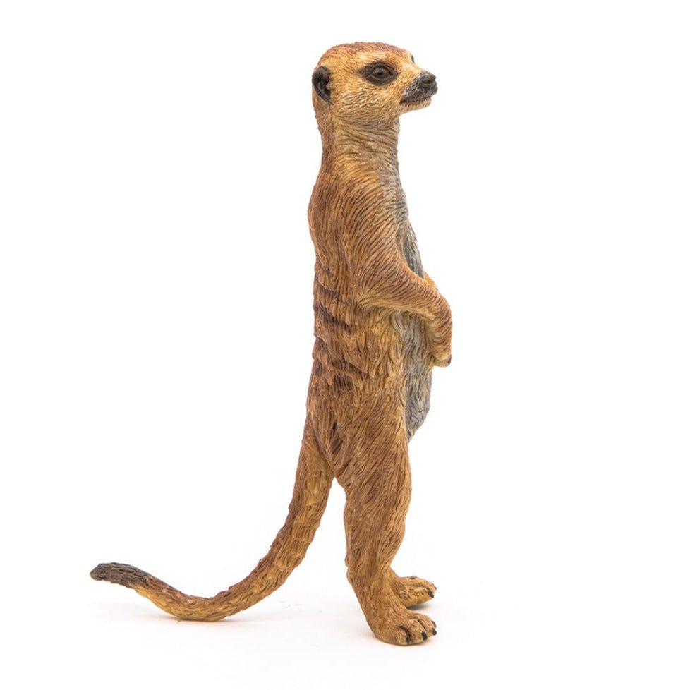 Staande Meerkat - Speelfiguren Papo - In den Olifant