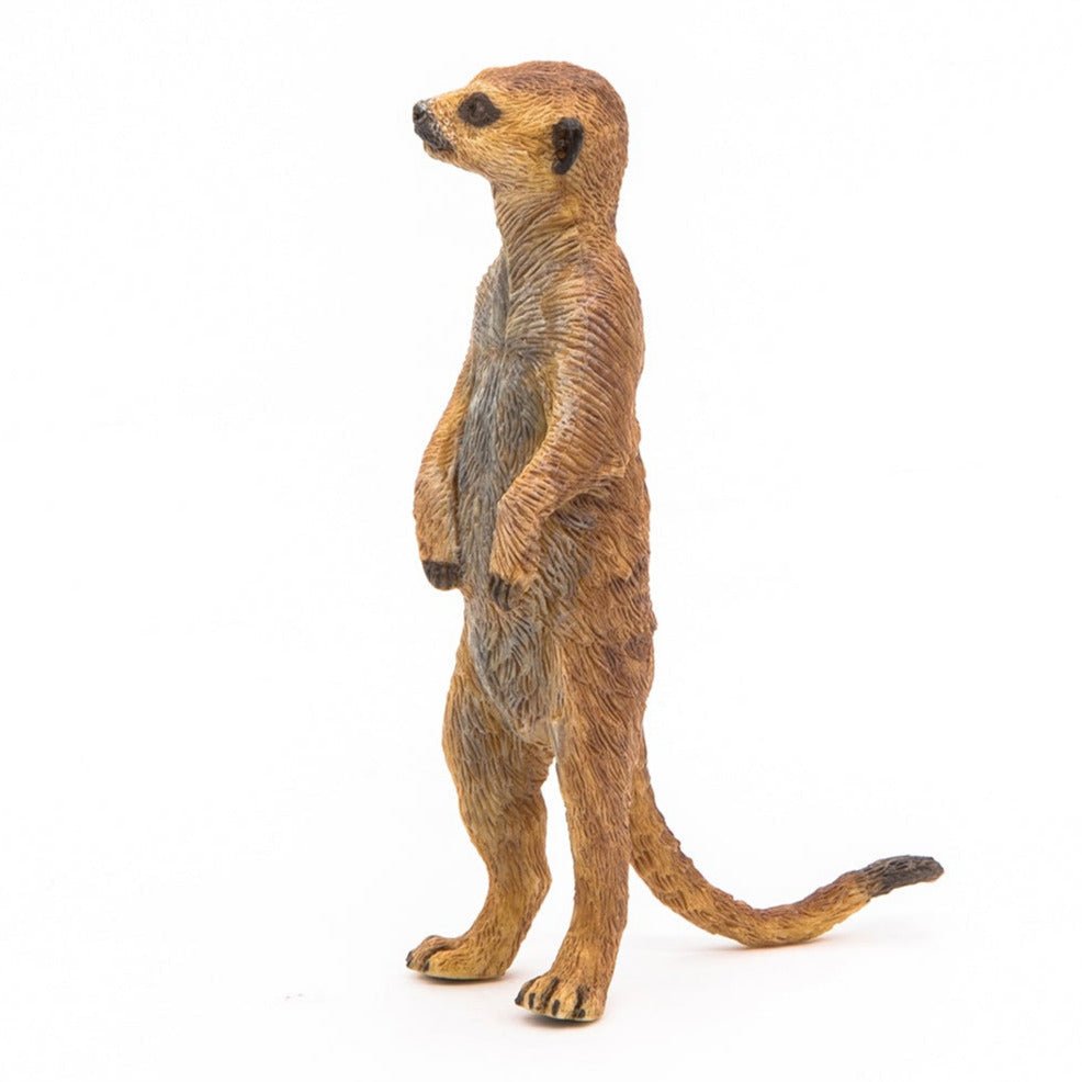 Staande Meerkat - Speelfiguren Papo - In den Olifant