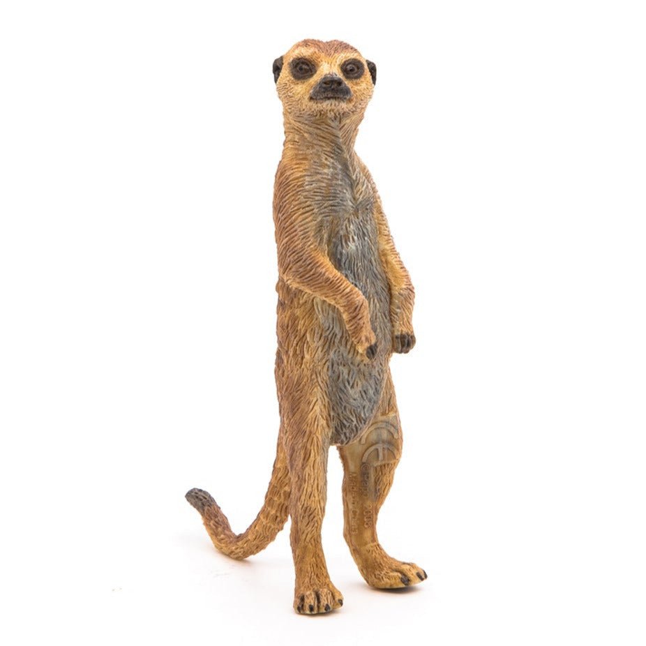 Staande Meerkat - Speelfiguren Papo - In den Olifant