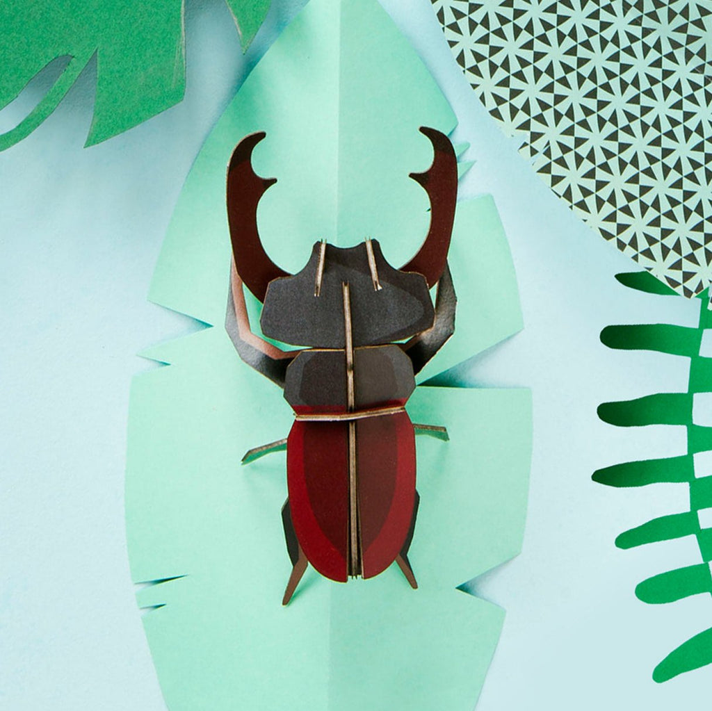 Stag Beetle