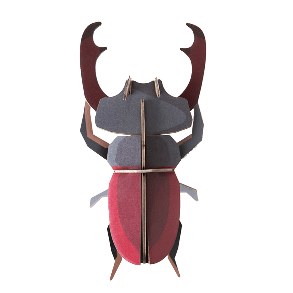 Stag Beetle