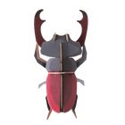 Stag Beetle