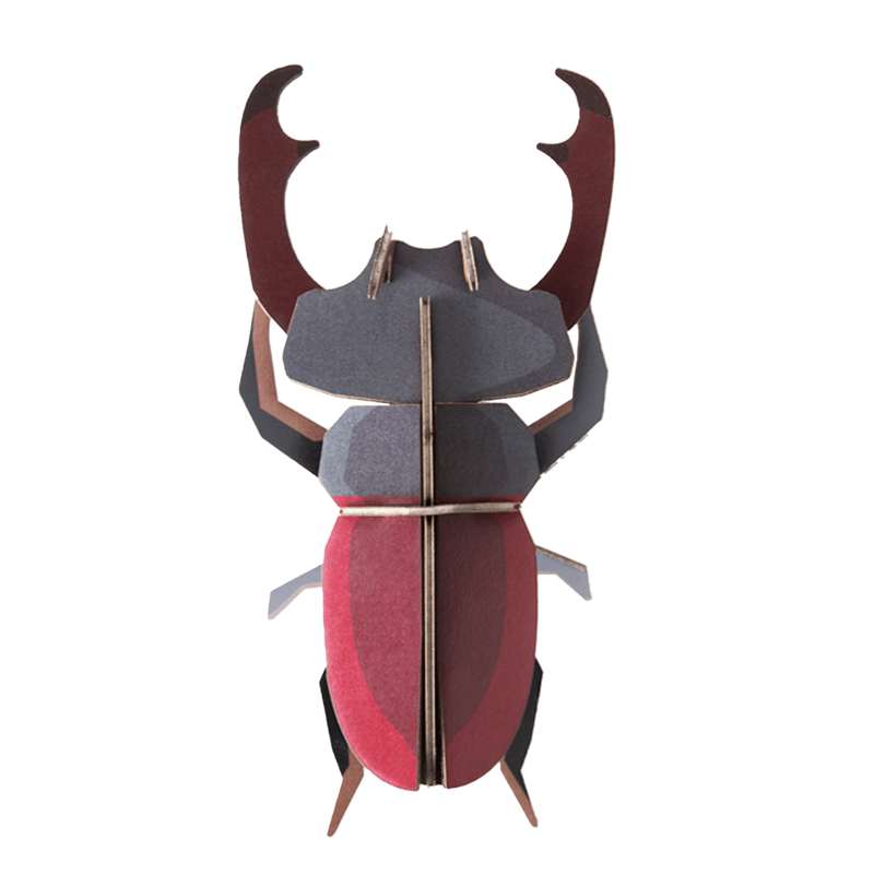 Stag Beetle