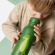 Stalen drinkfles Mr. Alligator - 500 ml - Drinkflessen Trixie - In den Olifant