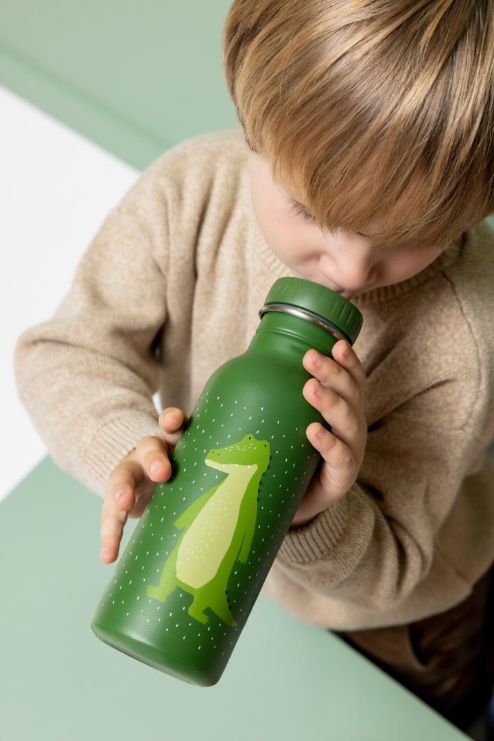 Stalen drinkfles Mr. Alligator - 500 ml - Drinkflessen Trixie - In den Olifant