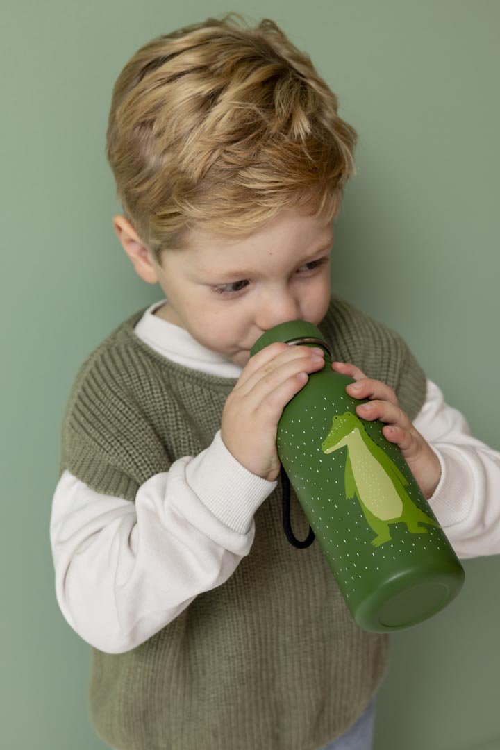 Stalen drinkfles Mr. Alligator - 500 ml - Drinkflessen Trixie - In den Olifant