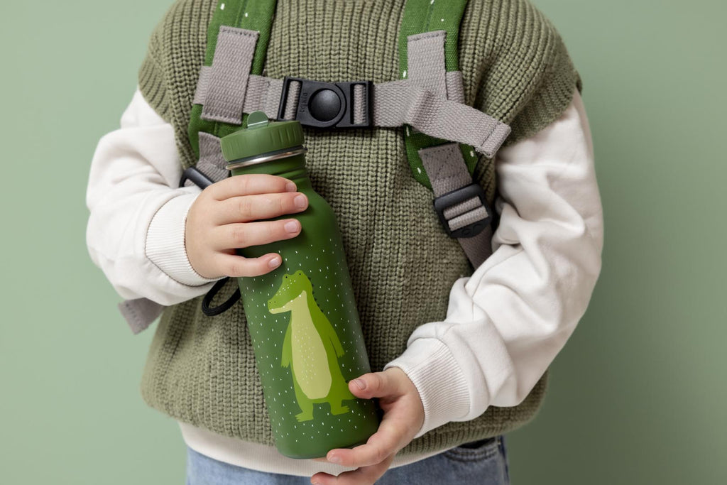 Stalen drinkfles Mr. Alligator - 500 ml - Drinkflessen Trixie - In den Olifant