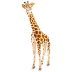 Grote Knuffel Studio Giraffe - 150 Cm