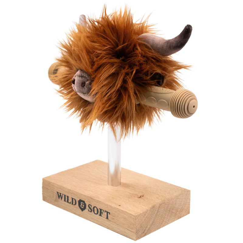 Scooter Head Highland Cow