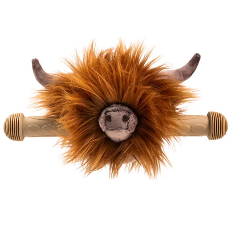 Scooter Head Highland Cow