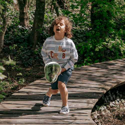 Stokdiertje Stick Animal T - rex - Stokpaardjes Wild & Soft - In den Olifant