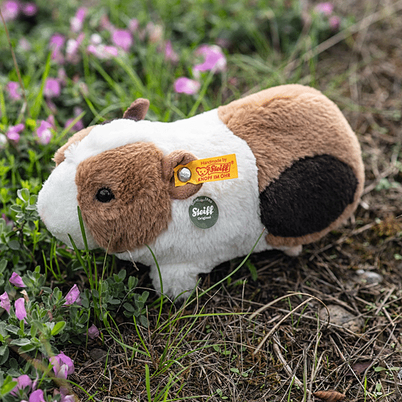 Knuffel Teddies For Tomorrow Dalle Guinea Pig With Squeaker - 22Cm