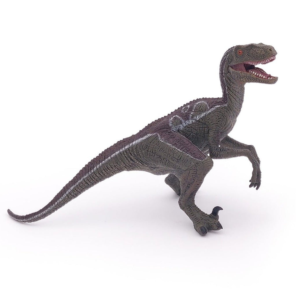 Velociraptor - Speeldieren Papo - In den Olifant