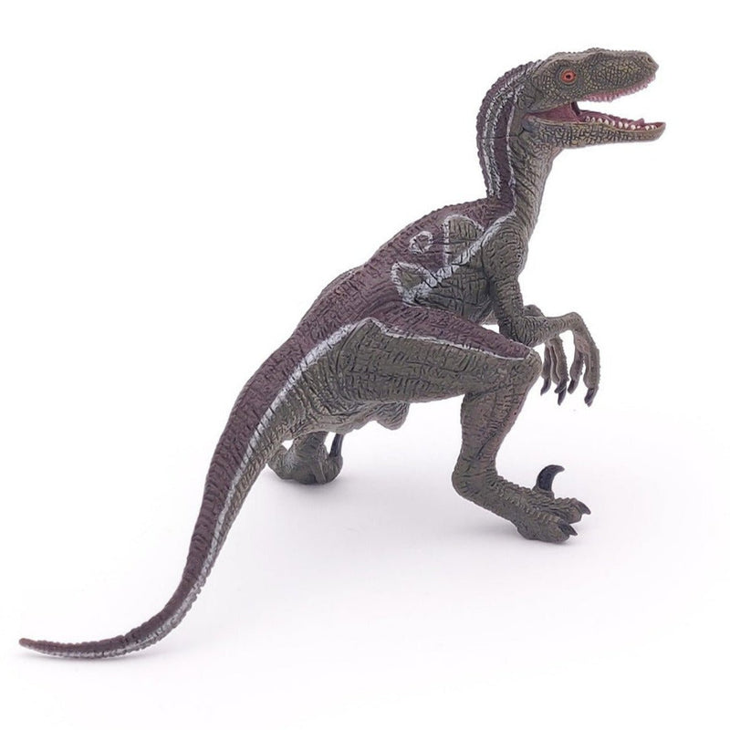 Velociraptor - Speeldieren Papo - In den Olifant