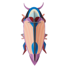 Violet Click Beetle