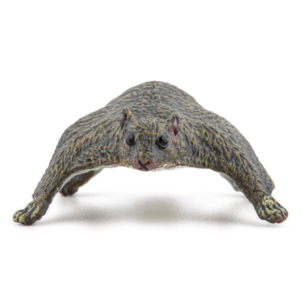 Vliegende Eekhoorn - Speeldieren Papo - In den Olifant