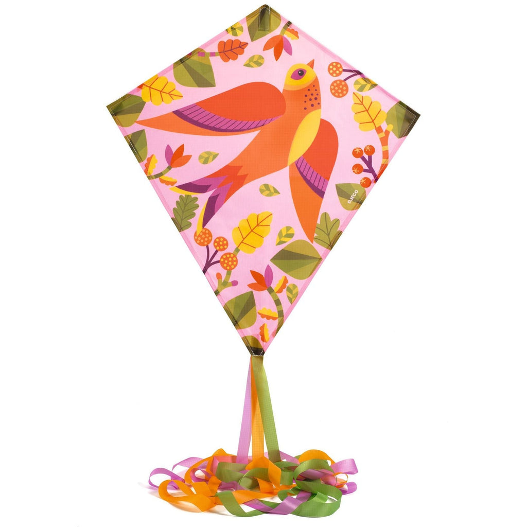 Vlieger Birdy - Actief buitenspeelgoed Djeco - In den Olifant