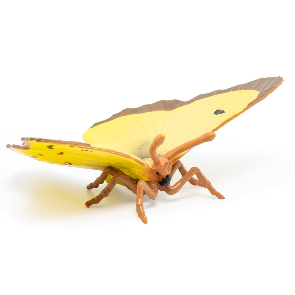 Vlinder Goudsbloem - Speeldieren Papo - In den Olifant