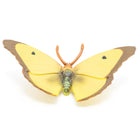 Vlinder Goudsbloem - Speeldieren Papo - In den Olifant