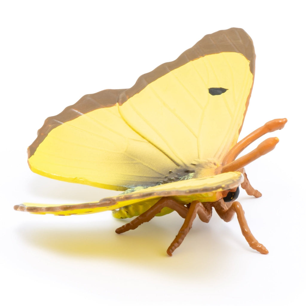 Vlinder Goudsbloem - Speeldieren Papo - In den Olifant